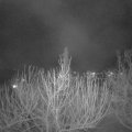 Webcam_20210301-204500