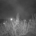Webcam_20210301-213000