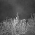 Webcam_20210302-201500