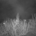 Webcam_20210302-203000