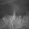 Webcam_20210302-213000