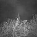 Webcam_20210303-194500