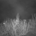 Webcam_20210303-203000