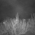 Webcam_20210303-213000