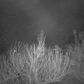 Webcam_20210305-053000