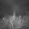 Webcam_20210305-191500