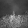 Webcam_20210305-193000