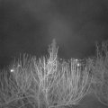 Webcam_20210305-203000