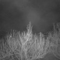 Webcam_20210306-050000