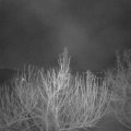Webcam_20210306-053000