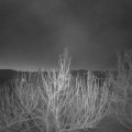 Webcam_20210306-054500