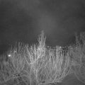 Webcam_20210306-201500