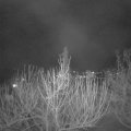Webcam_20210306-210000