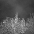 Webcam_20210306-220000