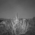 Webcam_20210307-190000