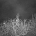 Webcam_20210307-193000