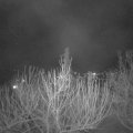 Webcam_20210307-200000