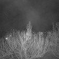 Webcam_20210307-204500
