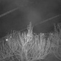 Webcam_20210308-194500
