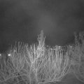 Webcam_20210308-200000
