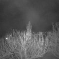 Webcam_20210308-201500