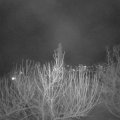 Webcam_20210308-203000