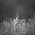 Webcam_20210308-204500