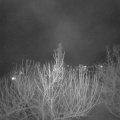 Webcam_20210308-213000