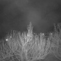 Webcam_20210308-220000