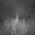 Webcam_20210310-051500