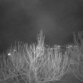 Webcam_20210310-210000