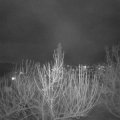 Webcam_20210311-191500