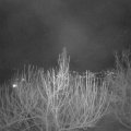 Webcam_20210311-203000