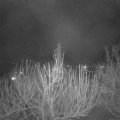 Webcam_20210311-220000