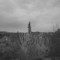 Webcam_20210312-184500