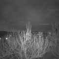 Webcam_20210312-190000