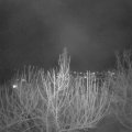 Webcam_20210312-191500