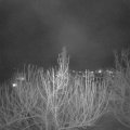 Webcam_20210312-194500