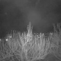 Webcam_20210312-200000