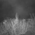 Webcam_20210312-201500