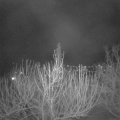 Webcam_20210312-210000