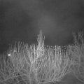 Webcam_20210312-211500
