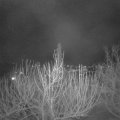 Webcam_20210312-214500