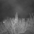 Webcam_20210312-220000