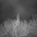 Webcam_20210313-050000