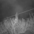 Webcam_20210313-054500