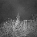 Webcam_20210313-193000