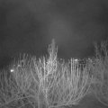 Webcam_20210313-200000