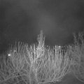 Webcam_20210313-203000