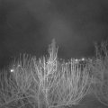 Webcam_20210313-204500
